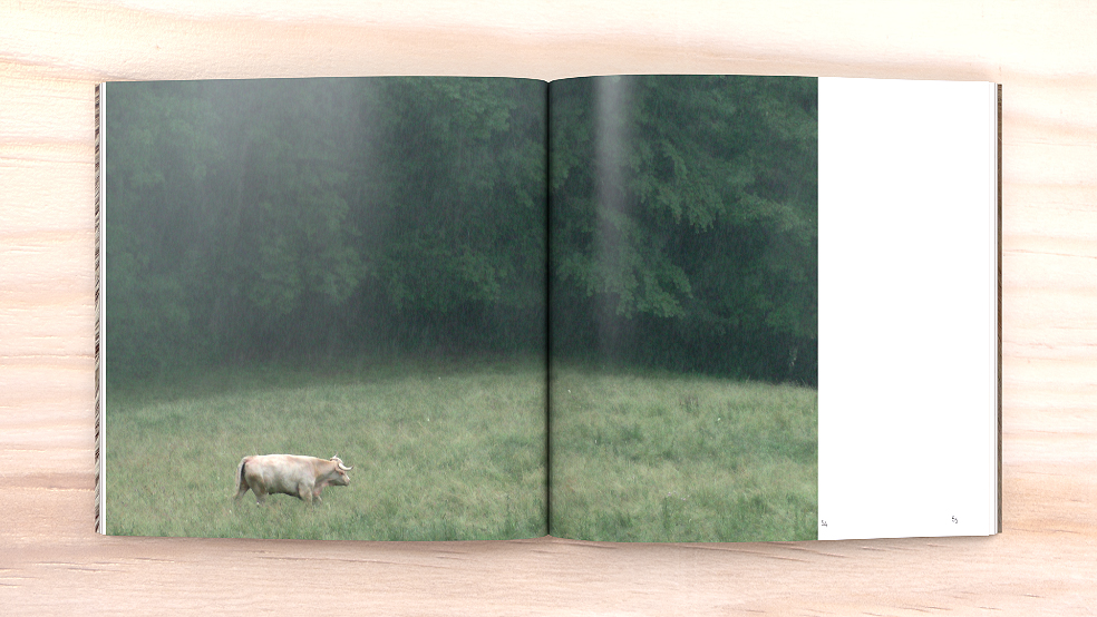 Vu exemple de page du livre - Laurent CROUZET